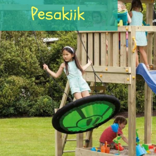 Pesakiik