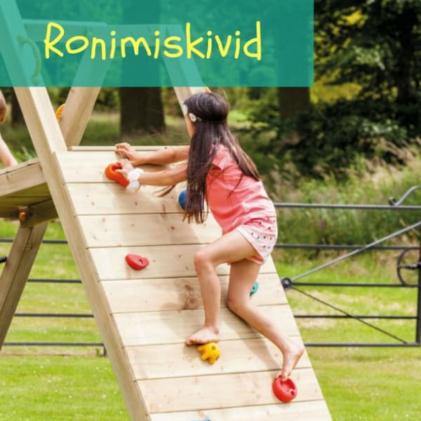Ronimiskivid challenger