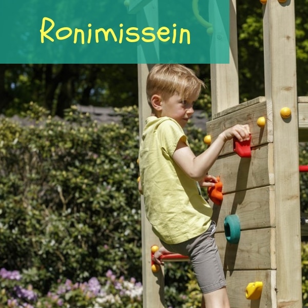 Ronimissein